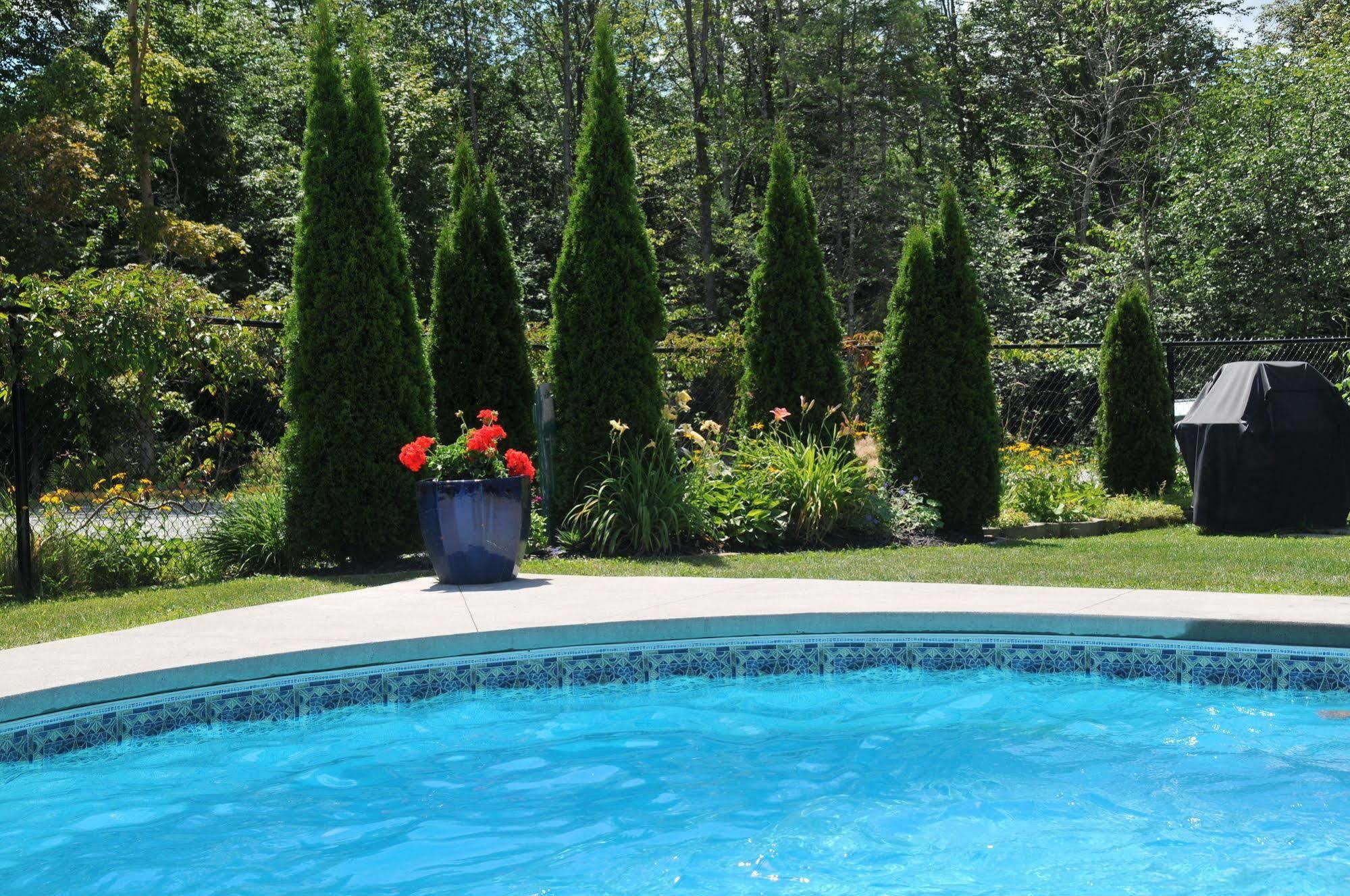 Motel des Cèdres Sherbrooke Esterno foto